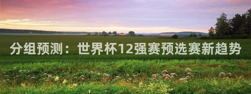 亚洲区世界杯预选赛：分组预测：世界杯12强赛预选赛新趋势