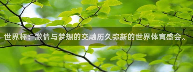 世俱杯直播：世界杯：激情与梦想的交融历久弥新的世界体育盛会。