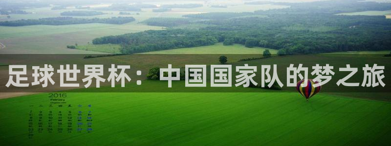 世界杯在线直播入口：足球世界杯：中国国家队的梦之旅