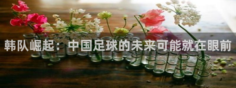 世预赛欧洲赛程表：韩队崛起：中国足球的未来可能就在眼前