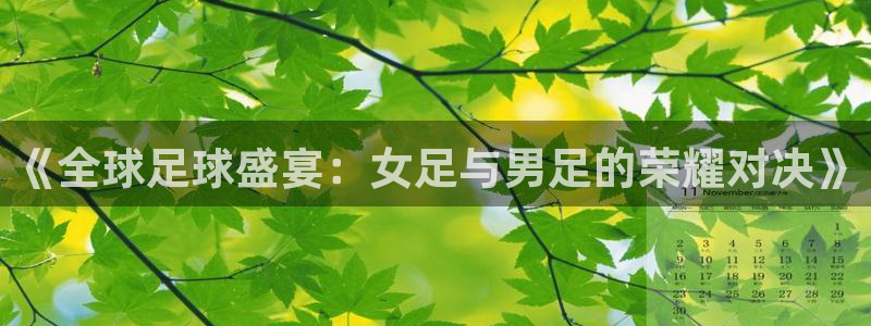 世界杯系列赛：《全球足球盛宴：女足与男足的荣耀对决》