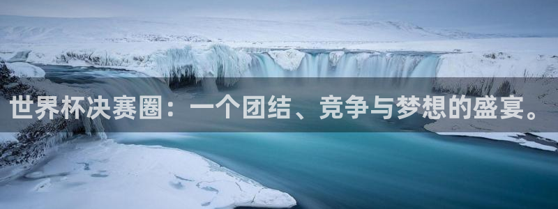 美国世界杯：世界杯决赛圈：一个团结、竞争与梦想的盛宴。