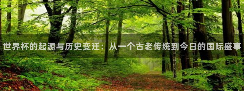 今年的世界杯：世界杯的起源与历史变迁：从一个古老传统到今日的国际盛事