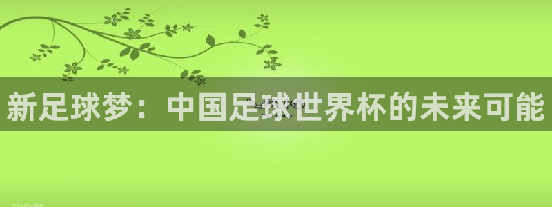 世界杯在线直播：新足球梦：中国足球世界杯的未来可能