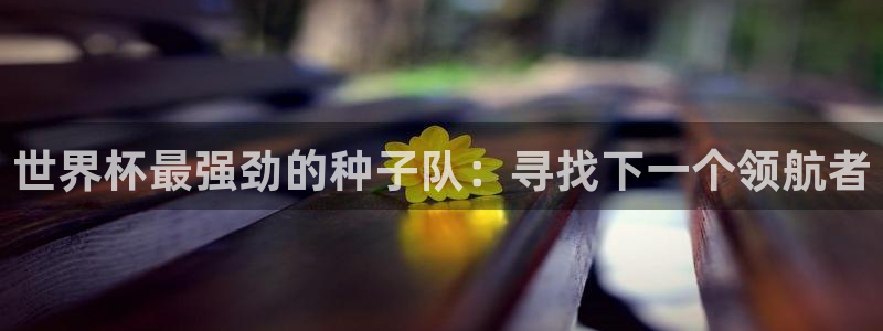 世界杯今日赛程直播：世界杯最强劲的种子队：寻找下一个领航者