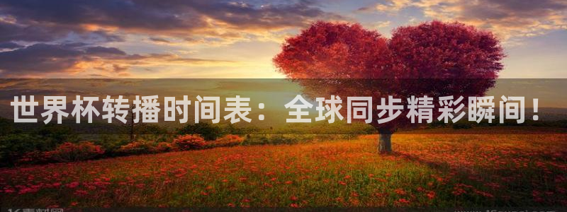 世预赛赛程表:世界杯转播时间表:全球同步精彩瞬间!