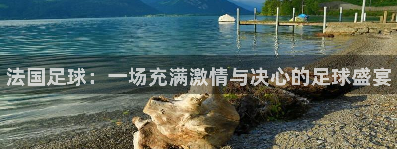 世界杯预选赛欧洲赛区积分榜：法国足球：一场充满激情与决心的足球盛宴