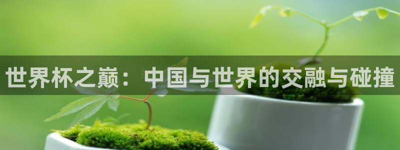世界杯球队：世界杯之巅：中国与世界的交融与碰撞