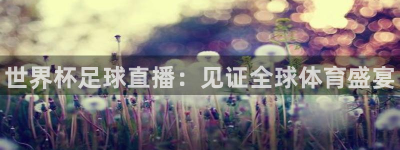 世界杯足球赛2026：世界杯足球直播：见证全球体育盛宴