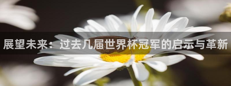 世界杯 赛程：展望未来：过去几届世界杯冠军的启示与革新
