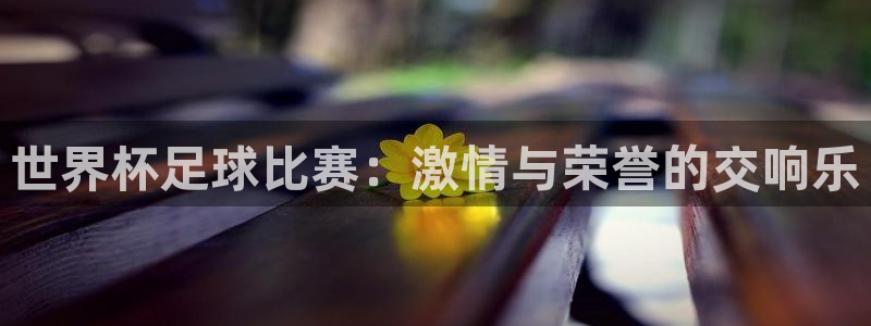 葡萄牙世界杯赛程：世界杯足球比赛：激情与荣誉的交响乐