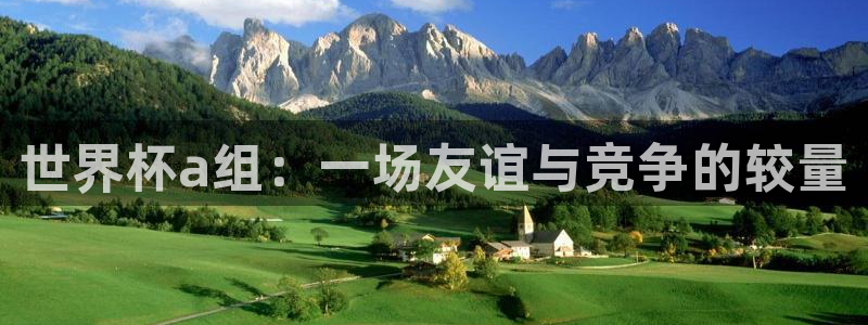 2026世界杯买球：世界杯a组：一场友谊与竞争的较量