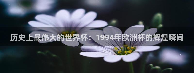 英格兰联赛杯直播：历史上最伟大的世界杯：1994年欧洲杯的辉煌瞬间