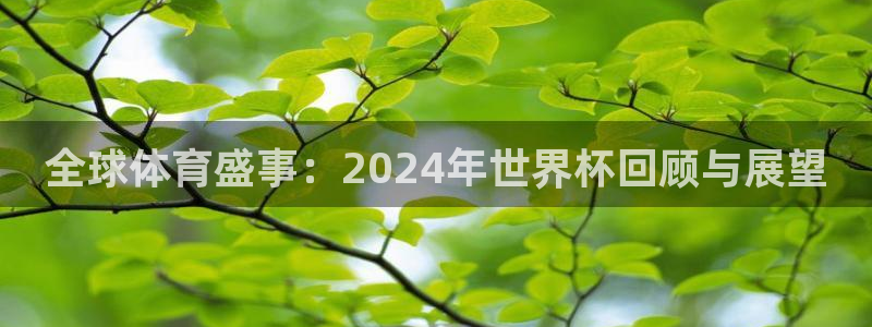 世界杯直播：全球体育盛事：2024年世界杯回顾与展望