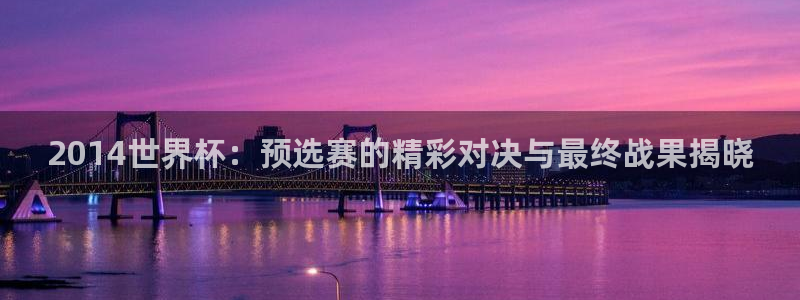 世界杯决赛圈球队：2014世界杯：预选赛的精彩对决与最终战果揭晓