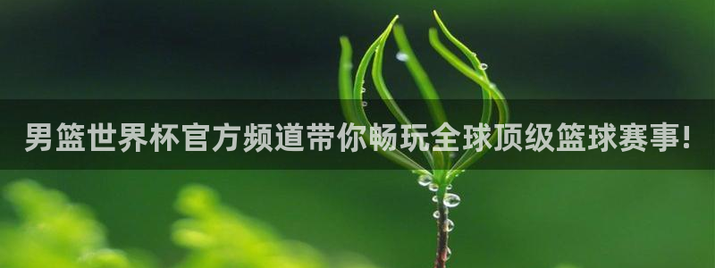 世界杯2026赛程时间表格：男篮世界杯官方频道带你畅玩全球顶级篮球赛事!