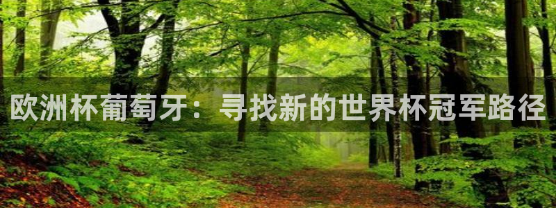 免费看足球直播比赛：欧洲杯葡萄牙：寻找新的世界杯冠军路径