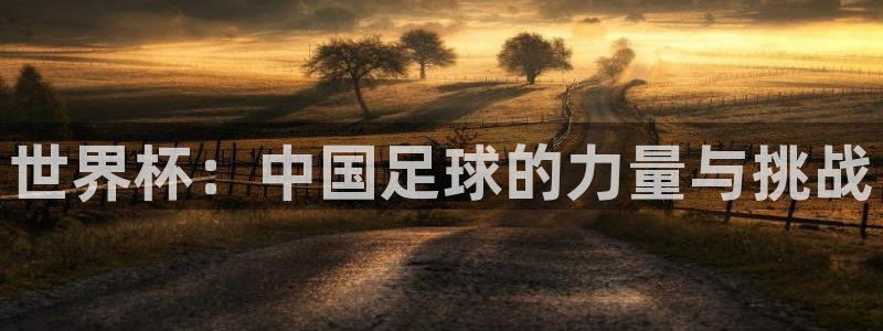 世界杯预选赛规则：世界杯：中国足球的力量与挑战