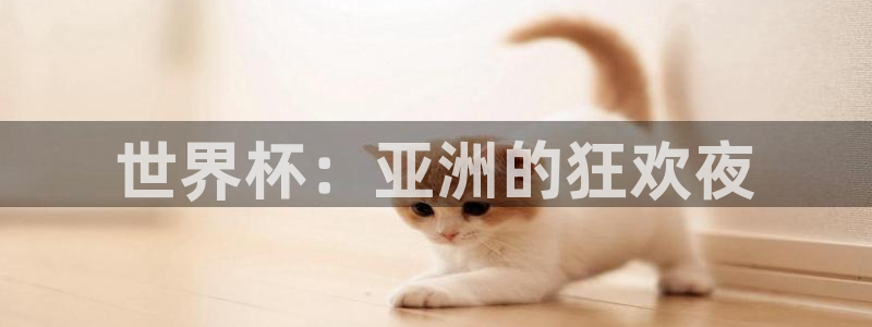免费看足球直播比赛：世界杯：亚洲的狂欢夜